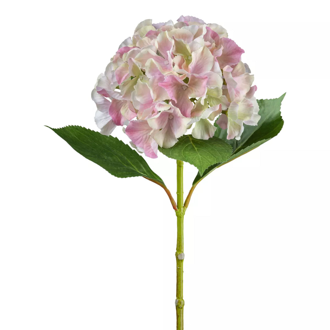Flourify Hortensia