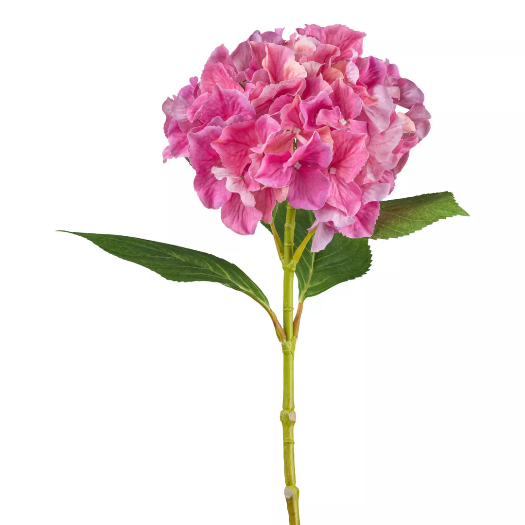 Flourify Hortensia