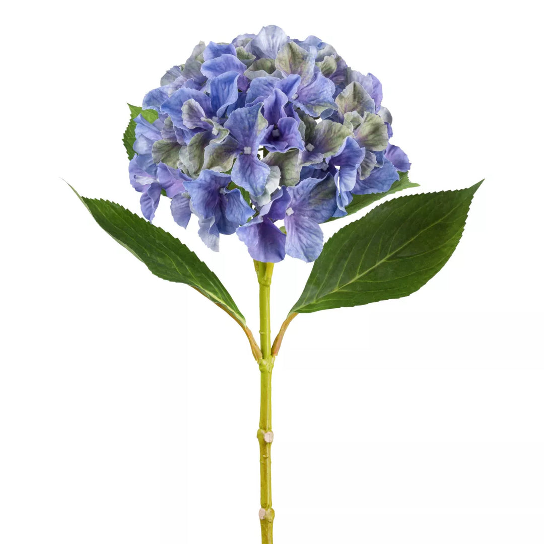 Flourify Hortensia