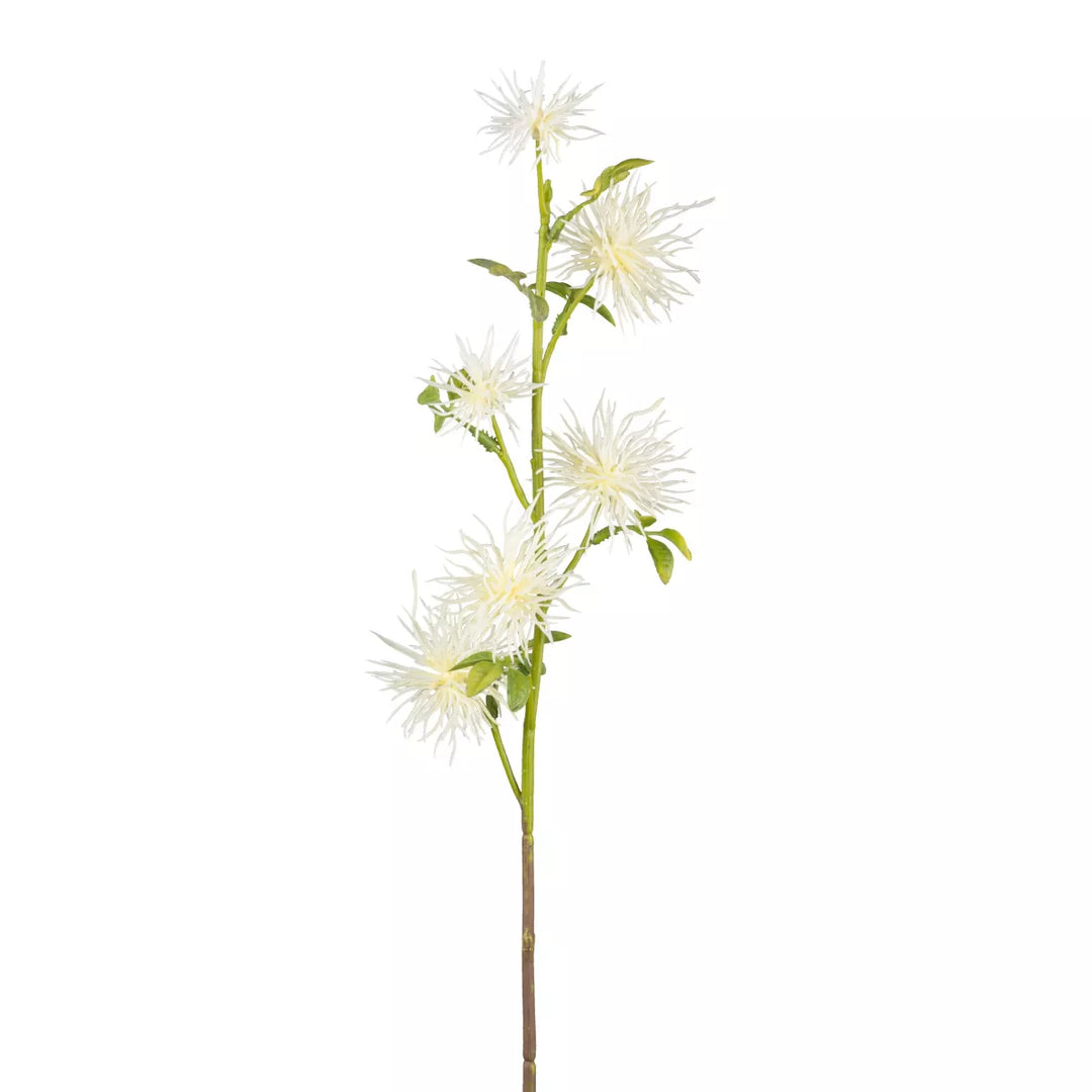 Flourify Disteltak