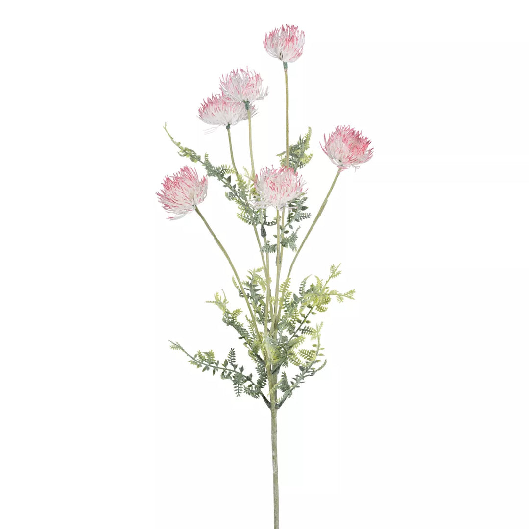 Flourify Disteltak