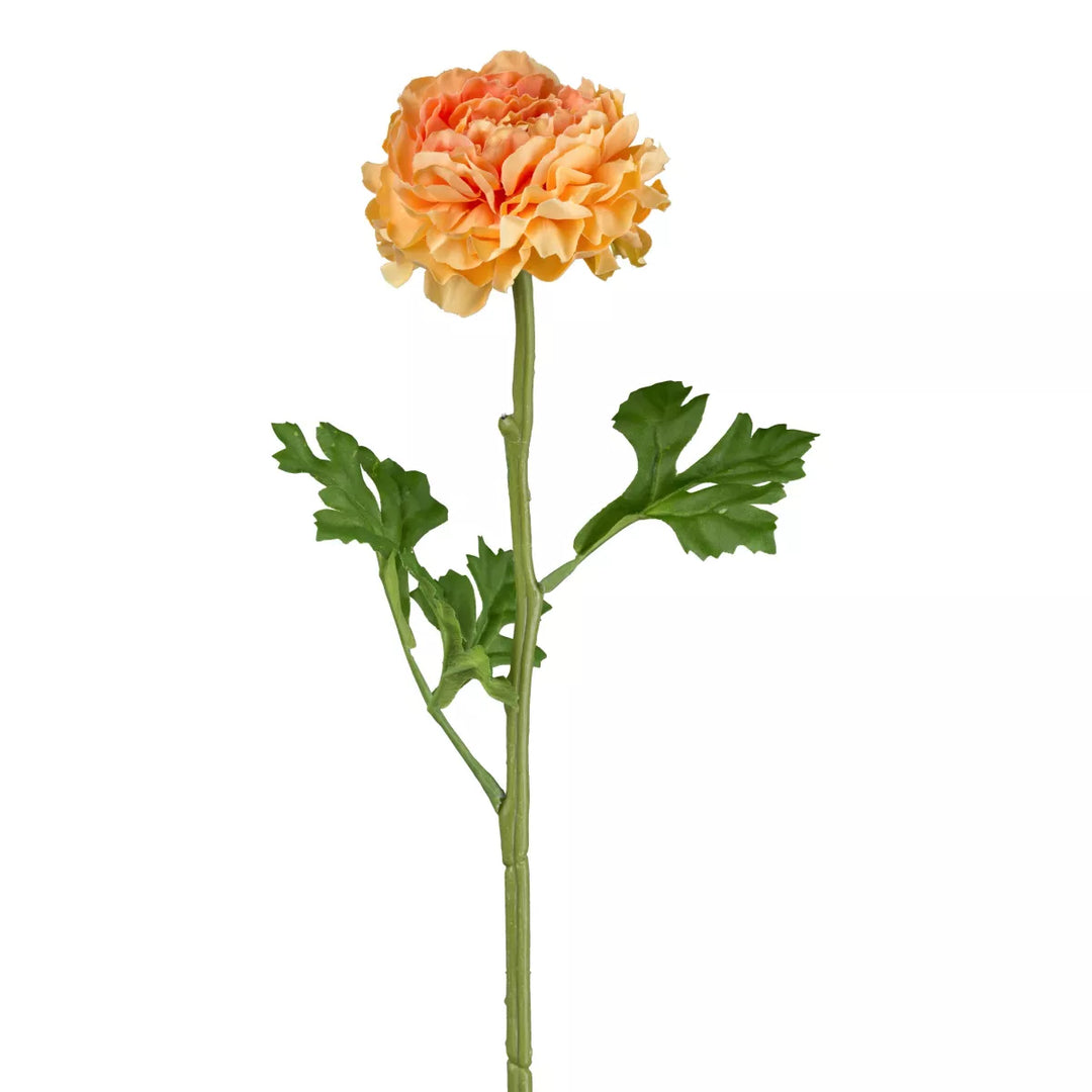 Flourify Ranunkel (boterbloem)