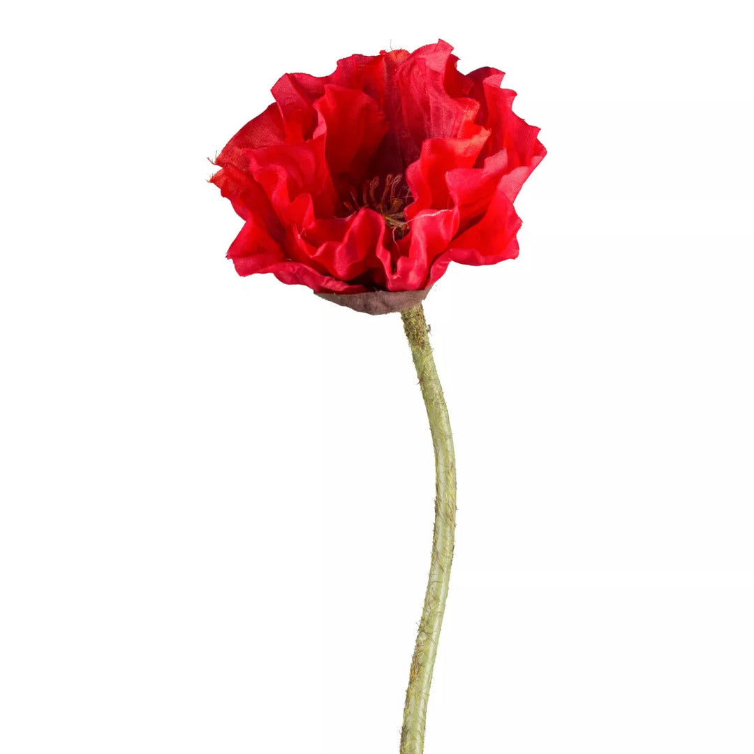 Flourify Maanbloem