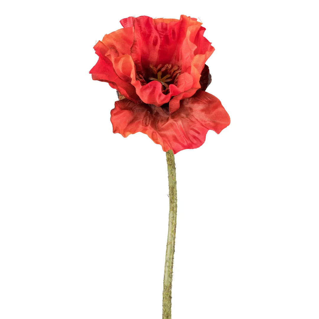 Flourify Maanbloem