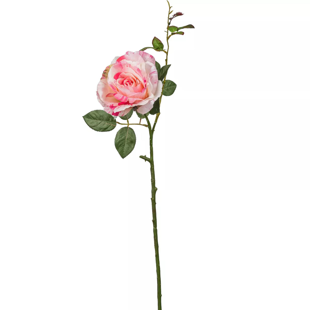 Flourify Roos