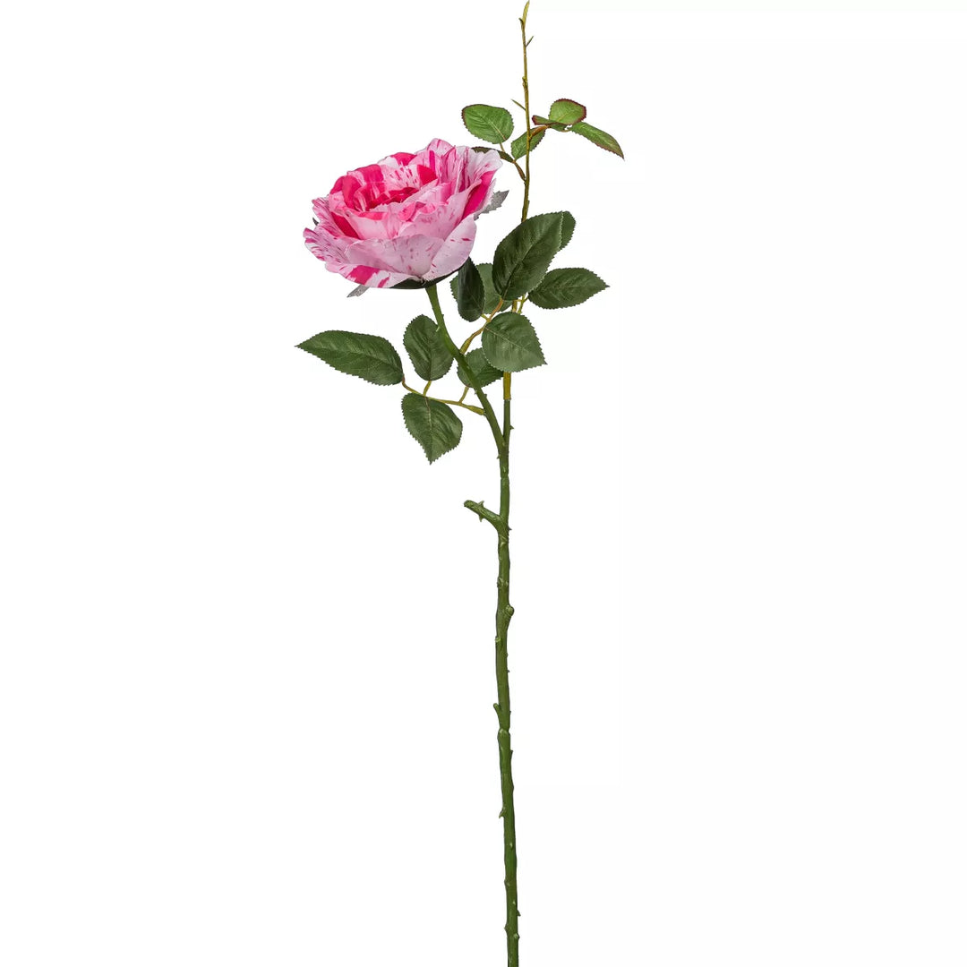 Flourify Roos