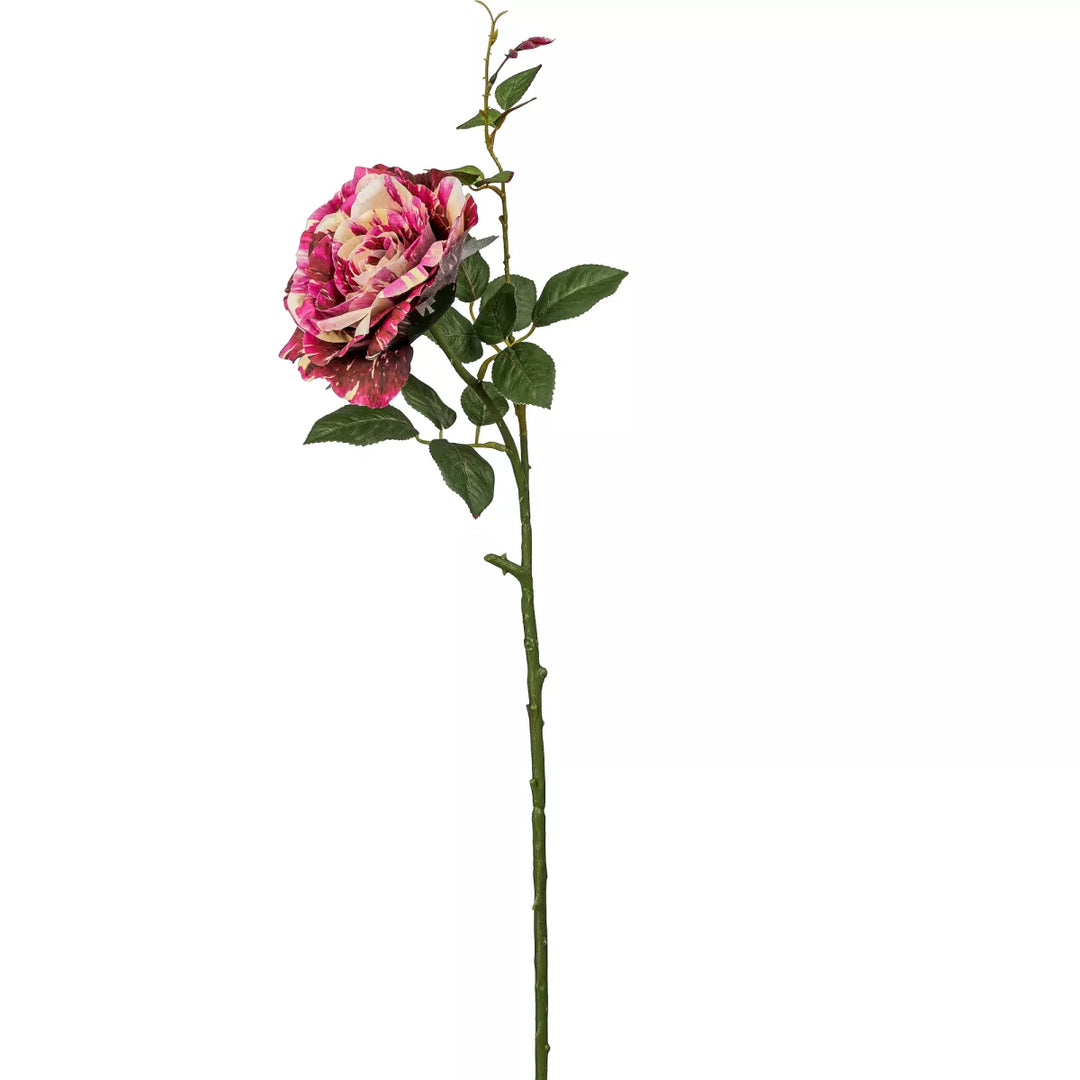 Flourify Roos