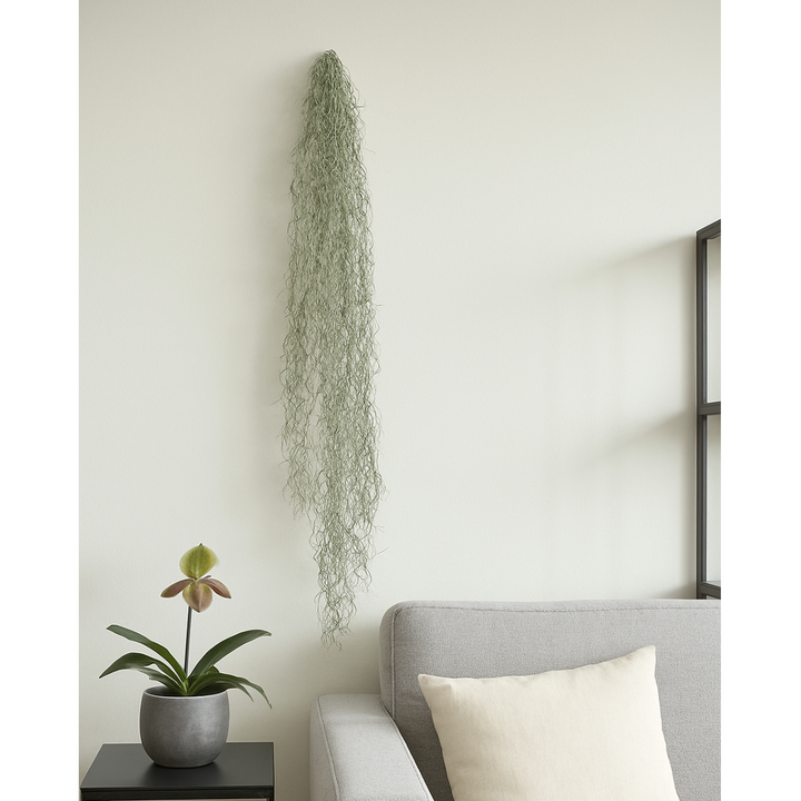 Tillandsia Ranke Hängepflanze, Kunstpflanze 146 cm. 4er-Bündel