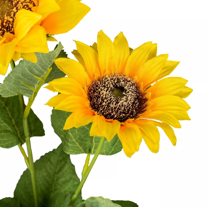 Flourify Zonnebloem