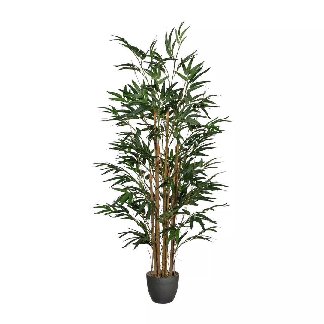 Flourify Bamboe