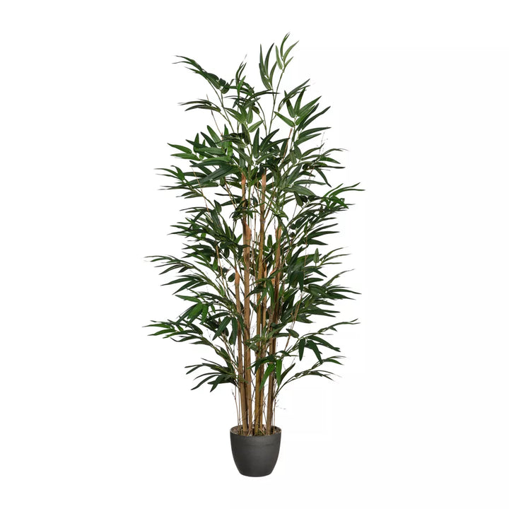 Flourify Bamboe