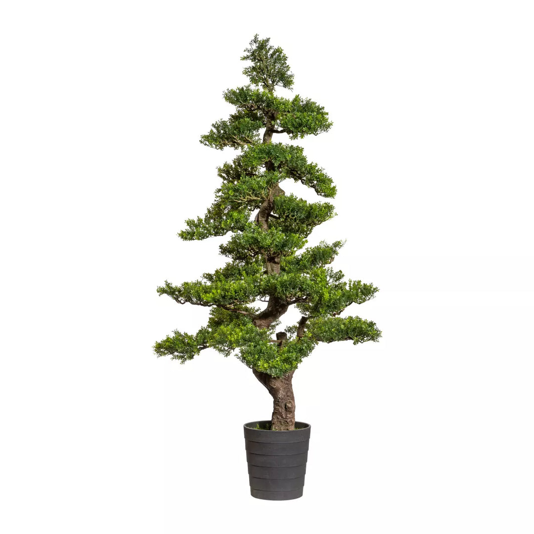 Flourify Bonsai