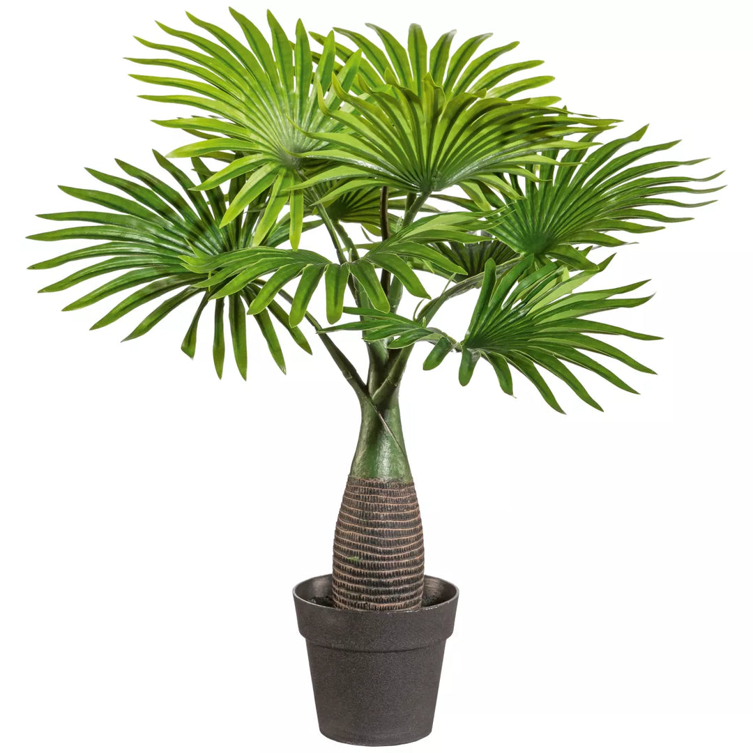 Flourify Mini palm