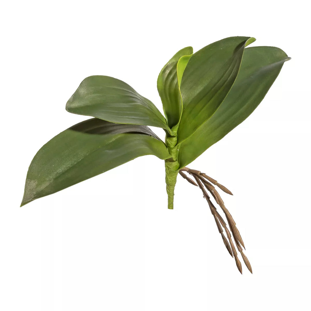 Flourify Orchidee blad