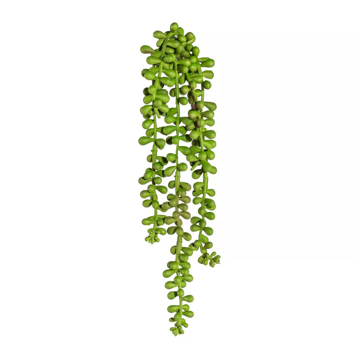 Flourify Sedum hangend (vetkruid)