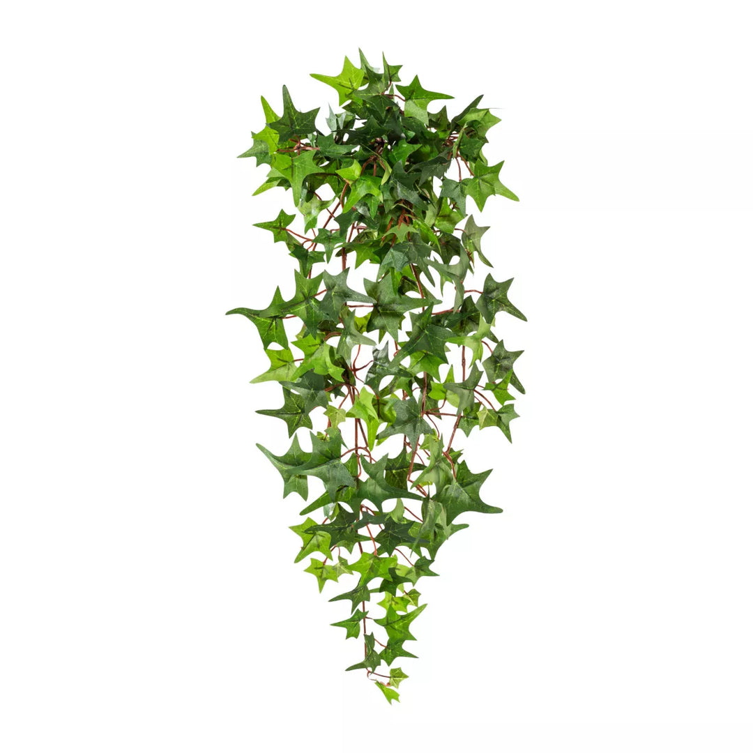 Flourify Klimop hangplant
