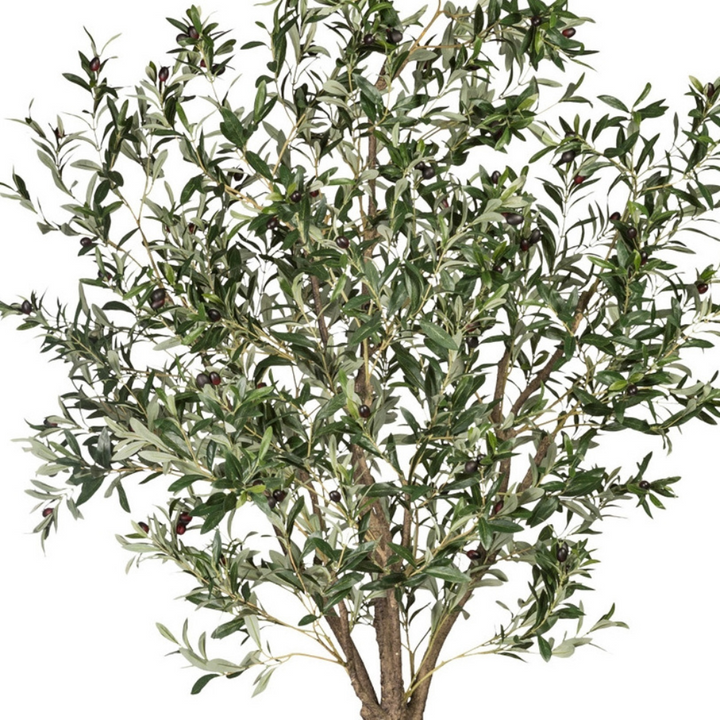 Olivenbaum Kunstpflanze 240 cm