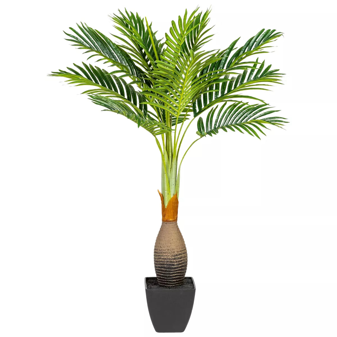 Flourify Kentiapalm