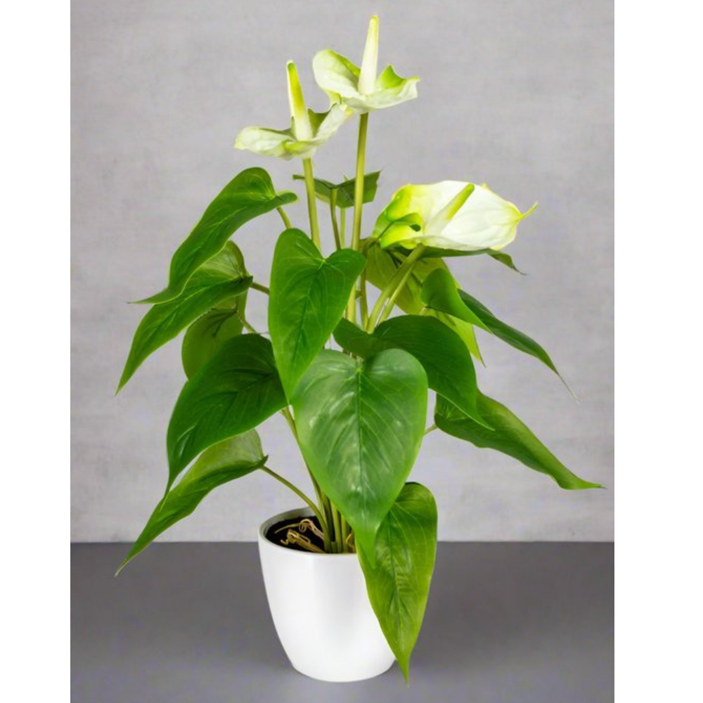 Anthurium Kunstpflanze 40 cm