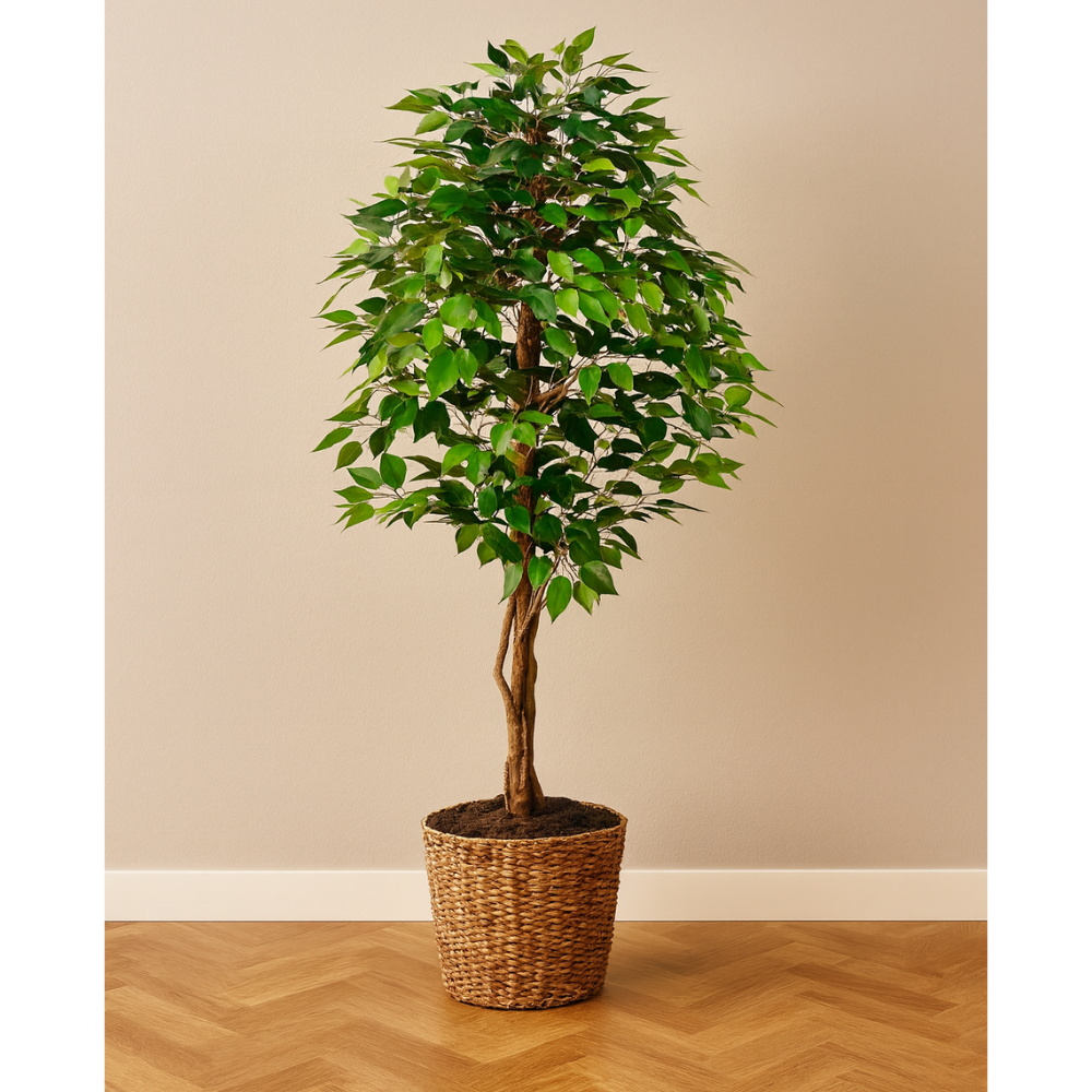 Ficus Benjamina Kunstpflanze 150 cm