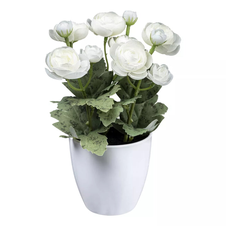 Flourify Ranunkel (boterbloem)