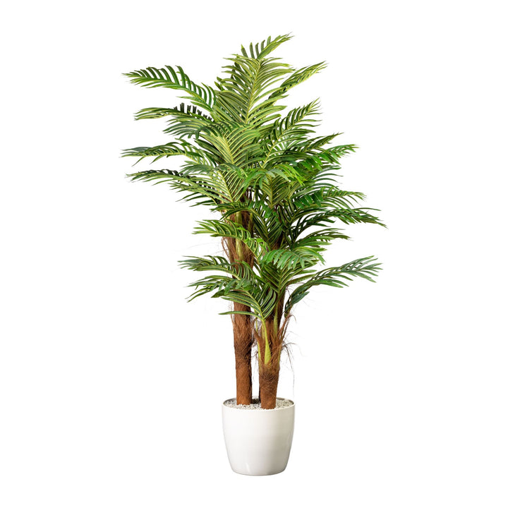 Palme mit Kokosnussstamm Kunstpflanze 160 cm
