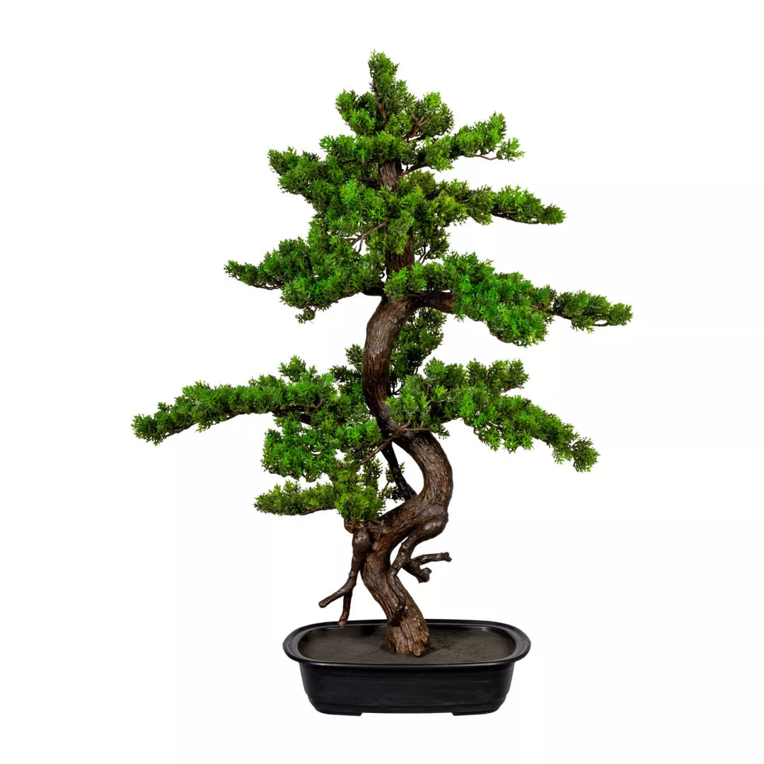 Flourify Bonsai