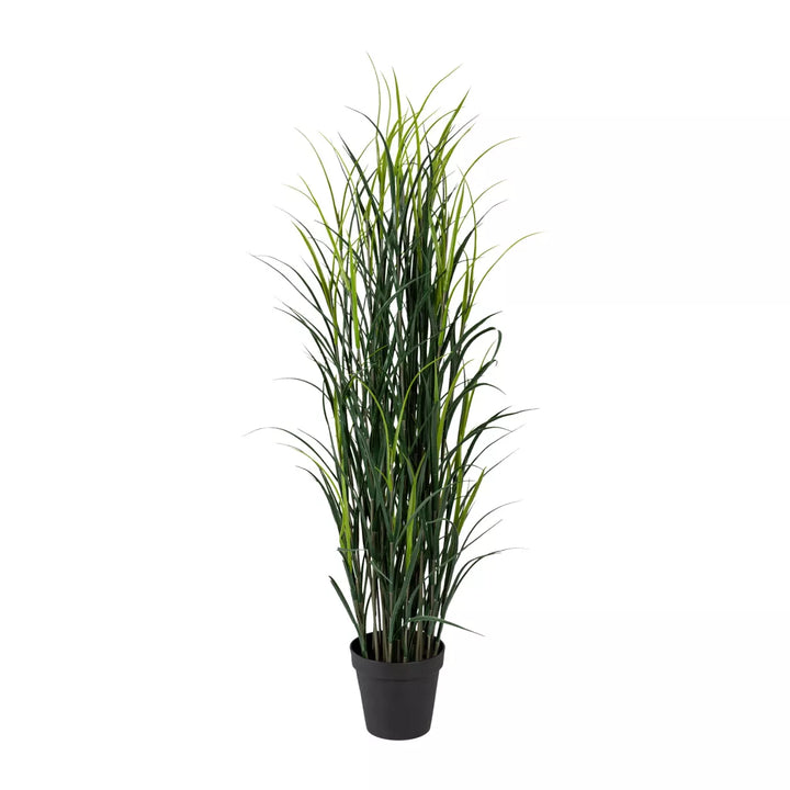 Flourify Siergras
