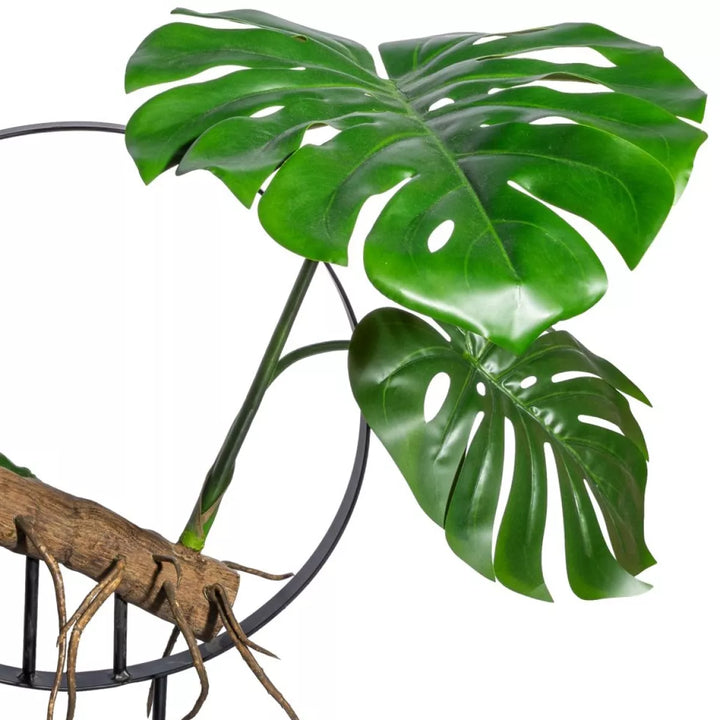 Flourify Splitphilodendron