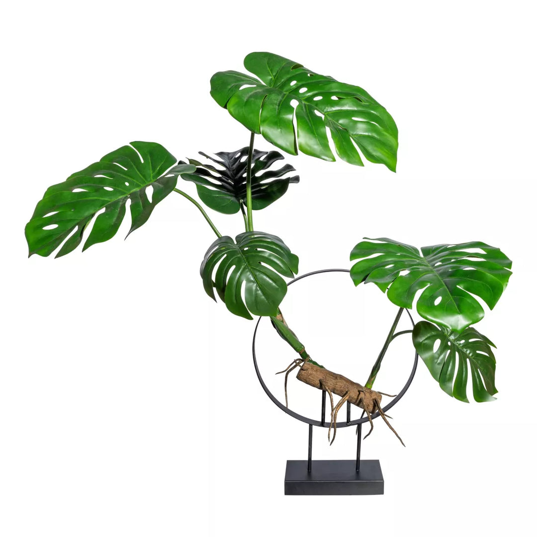 Flourify Splitphilodendron