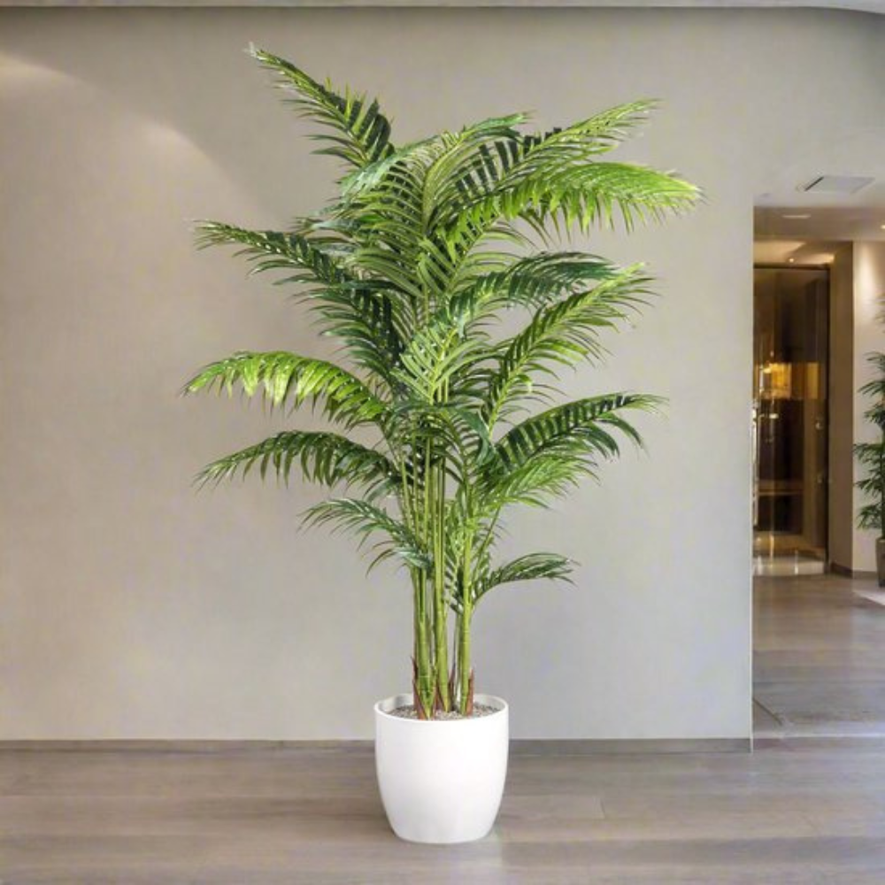 Kentia Palme Kunstpflanze 160 cm