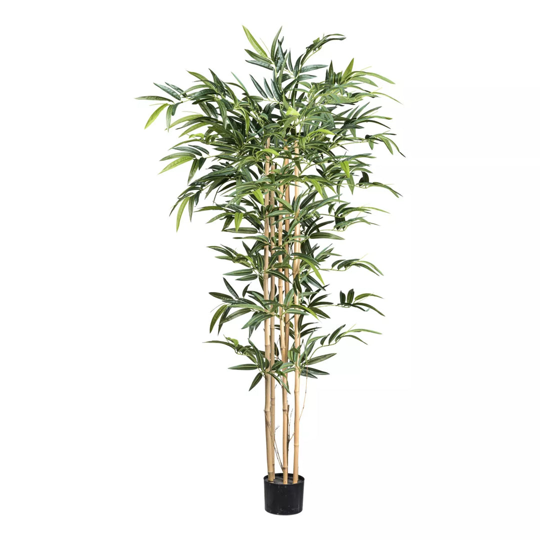 Flourify Bamboe