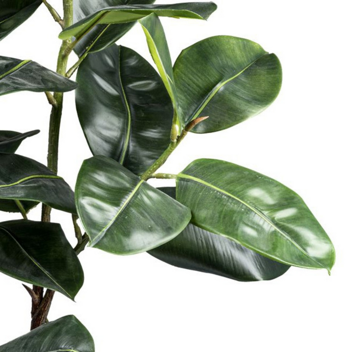 Ficus Elastica Kunstpflanze 150 cm