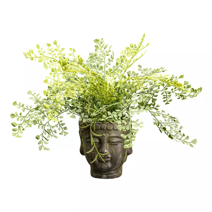 Flourify Adiantumstruik (venushaar)