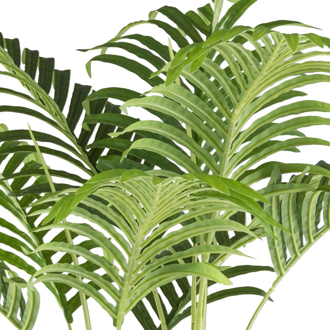 Flourify Bamboepalm 
