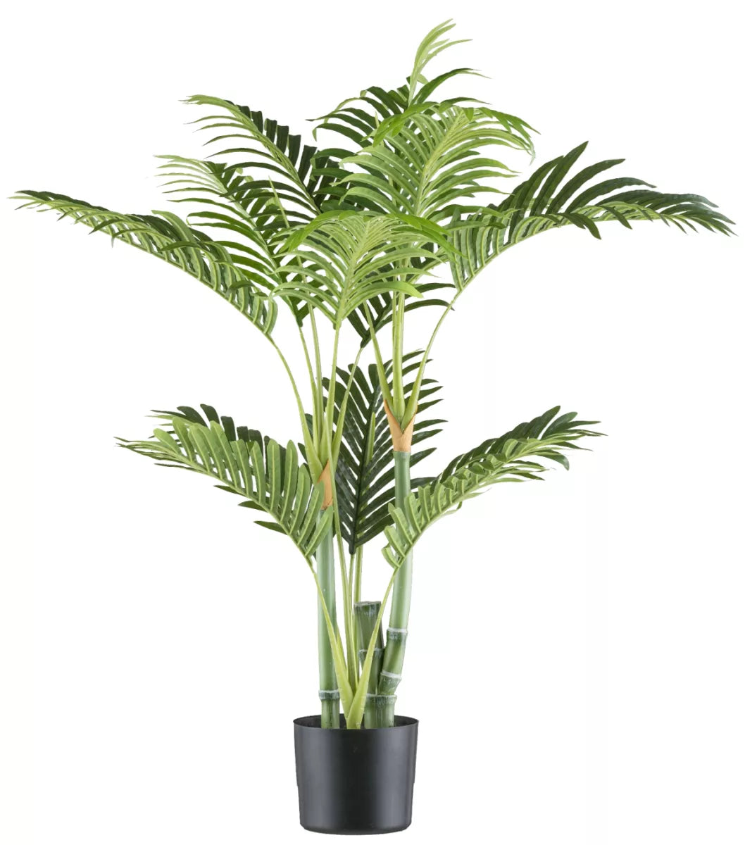 Flourify Bamboepalm 