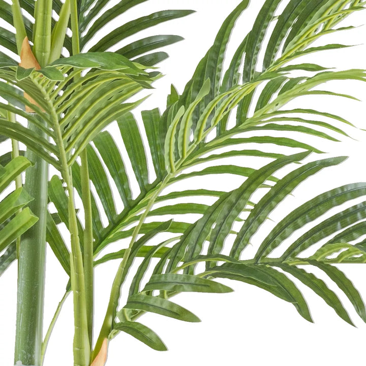 Flourify Bamboepalm