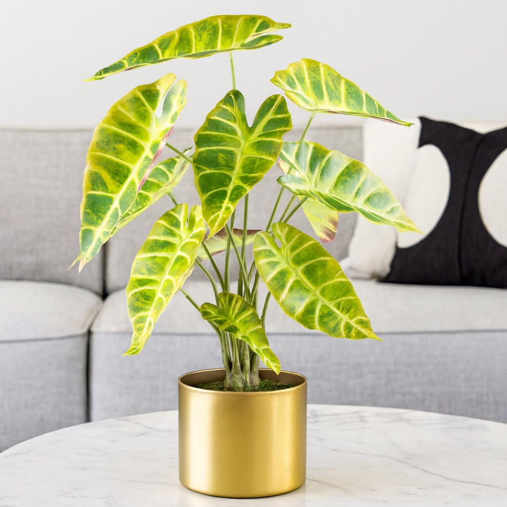 Alocasia longiloba Kunstpflanze 54 cm