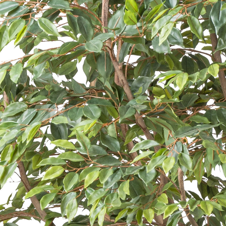 Ficus Benjamina Kunstpflanze 260 cm