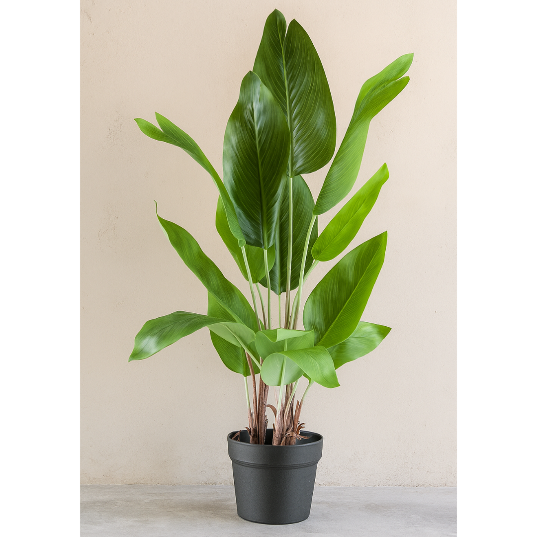 Strelitzia nicolai Kunstpflanze 70 cm
