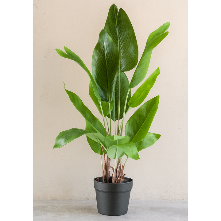Strelitzia nicolai Kunstpflanze 70 cm