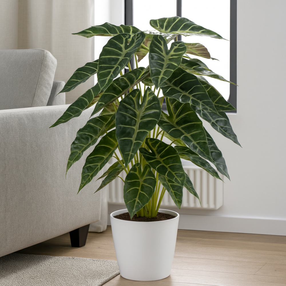Kunstpflanze Alocasia 68 cm