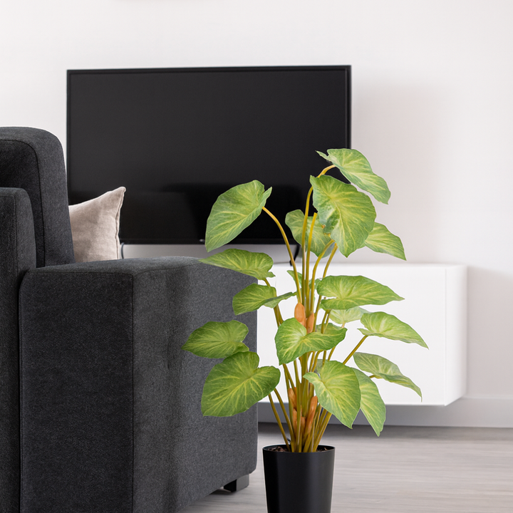 Syngonium Kunstpflanze 65 cm