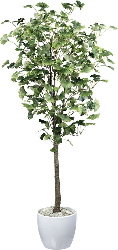 Ginkgobaum Kunstpflanze 150 cm