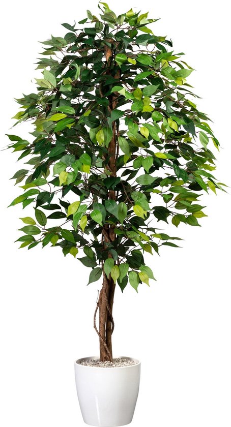 Ficus Benjamina Kunstpflanze 150 cm