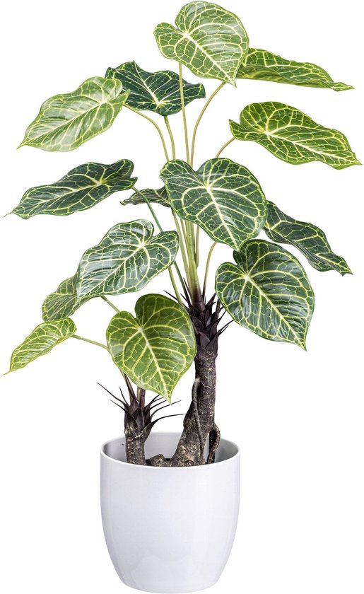 Syngonium Kunstpflanze 70 cm