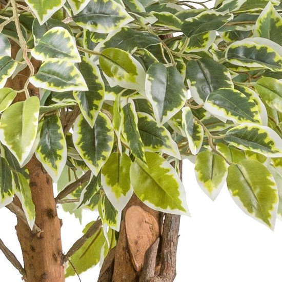 Ficus Benjamina Kunstpflanze 165 cm