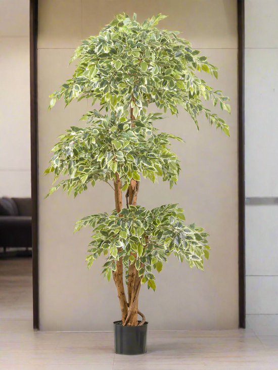 Ficus Benjamina Kunstpflanze 165 cm