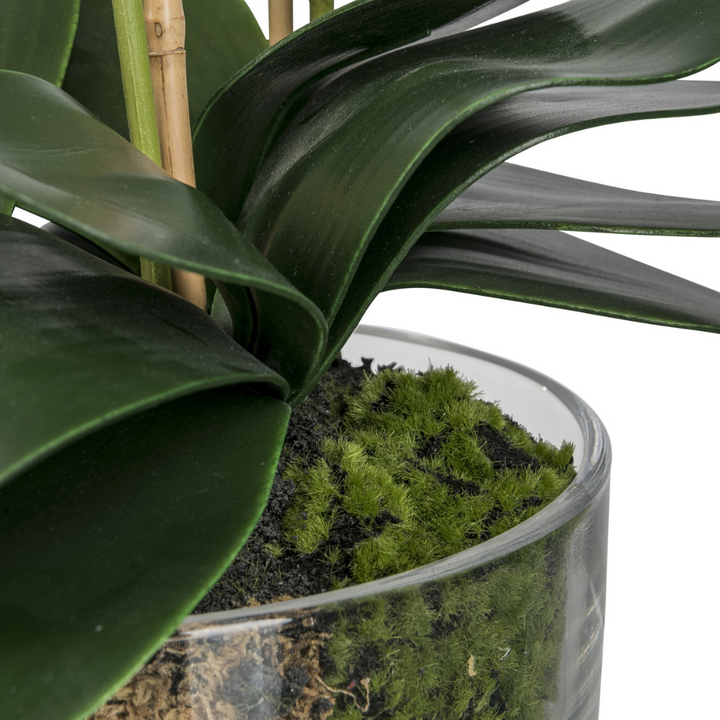 Orchidee Kunstblume 50 cm