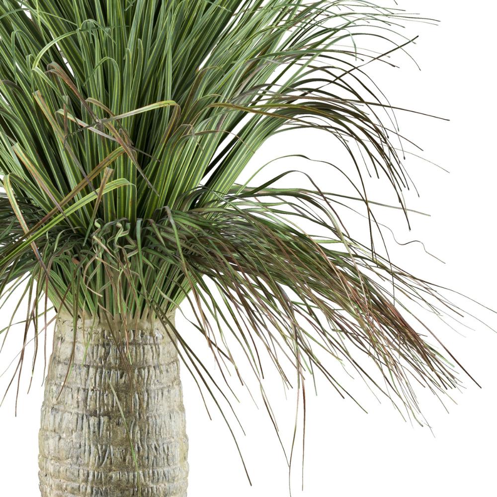 Die Beaucarnea Recurvata Kunstpflanze 60 cm